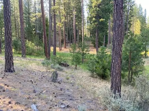 235 Black Bear Trl, Clio, CA 96103
