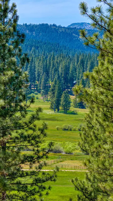 Other - 232 Boulder Dr, Clio, CA 96106 photo 4 of 5