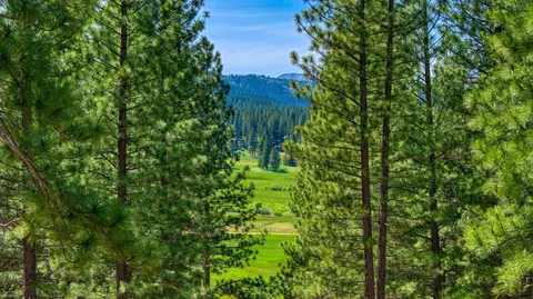 Other - 232 Boulder Dr, Clio, CA 96106 photo 5 of 5
