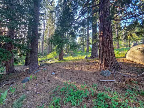 15444 Cedar Point Dr, Truckee, CA 96161 photo 13
