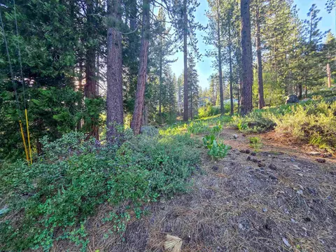 15444 Cedar Point Dr, Truckee, CA 96161 photo 17