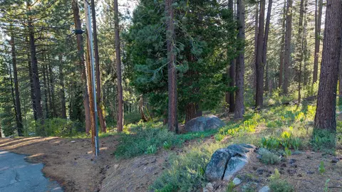 15444 Cedar Point Dr, Truckee, CA 96161 photo 20