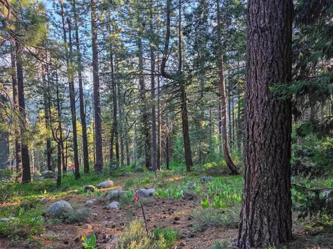 15444 Cedar Point Dr, Truckee, CA 96161 photo 14