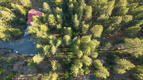 15444 Cedar Point Dr, Truckee, CA 96161 photo 6