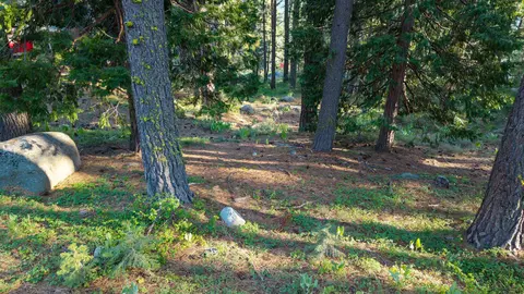 15444 Cedar Point Dr, Truckee, CA 96161 photo 16