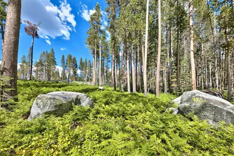 22028 Lotta Crabtree, Soda Springs, CA 95728