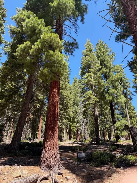1390 Kings Vista Ct, Tahoe Vista, CA 96148