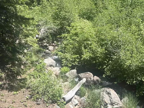 View/Area - 2337 Bear Falls Ln, Alpine Meadows, CA 96146 photo 2 of 3