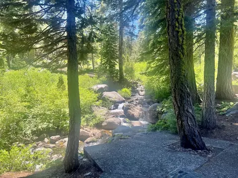2337 Bear Falls Ln, Alpine Meadows, CA 96146