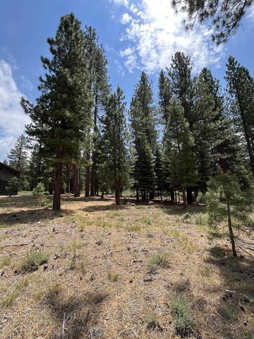15411 Kent Dr, Truckee, CA 96161