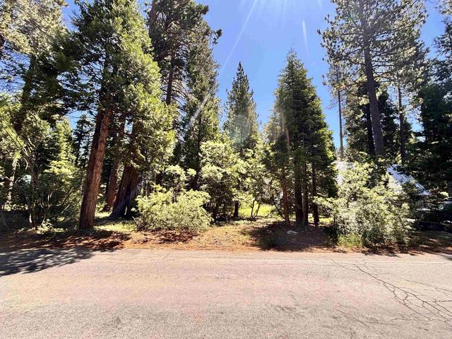 7083 5th Ave, Tahoma, CA 94142