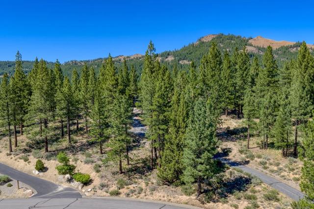 1924 Grizzly Ranch Rd, Portola, CA 96122