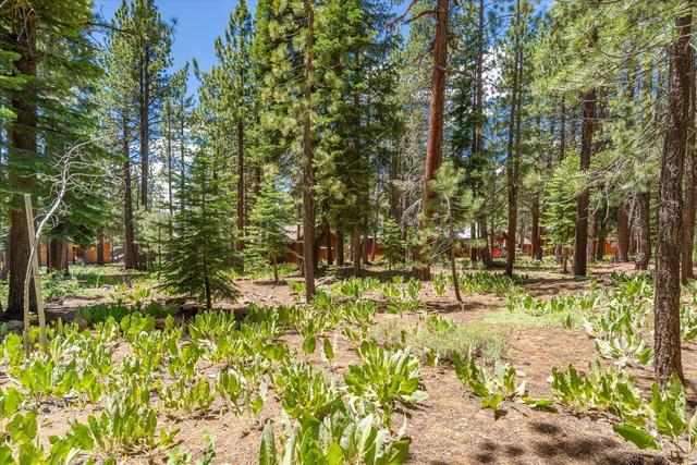11921 Oslo Dr, Truckee, CA 96161