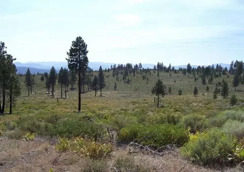 000 Boca Rd, Truckee, CA 96161 photo 3