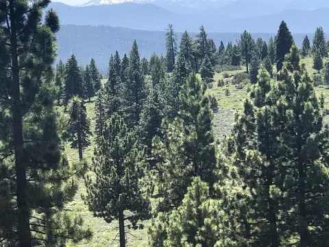 000 Boca Rd, Truckee, CA 96161 photo 17