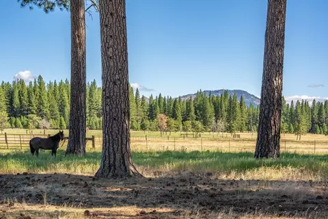22440 State Highway 89, Calpine, CA 96124 photo 15