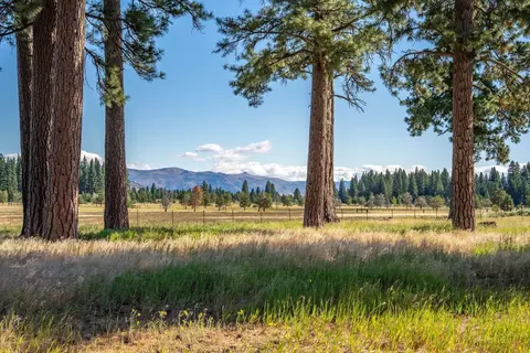 22440 State Highway 89, Calpine, CA 96124 photo 10