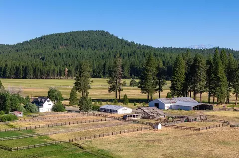 22440 State Highway 89, Calpine, CA 96124 photo 16