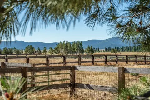 22440 State Highway 89, Calpine, CA 96124 photo 8