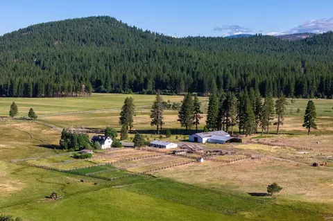 22440 State Highway 89, Calpine, CA 96124 photo 4