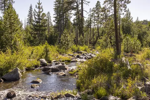 Other - 665 Fork Pl, Soda Springs, CA 95715 photo 1 of 7