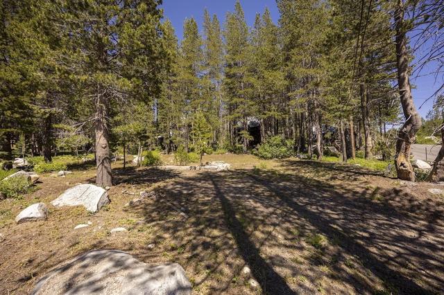 21674 Donner Pass Rd, Soda Springs, CA 95728