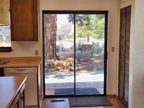 Kitchen - 725 Roundup Dr, Loyalton, CA 96118 photo 3 of 3