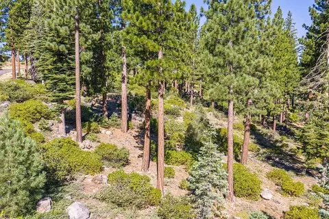 8219 Fallen Leaf Way, Truckee, CA 96161 photo 9