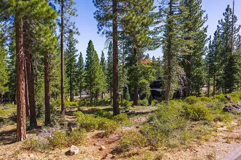 8219 Fallen Leaf Way, Truckee, CA 96161 photo 5