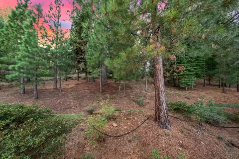 Exterior - 10147 Pine Cone Rd, Truckee, CA 96161 photo 4 of 5