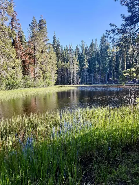 000 Forest Rd, Soda Springs, CA 95728