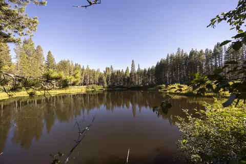 50741 Conifer Dr, Soda Springs, CA 95728