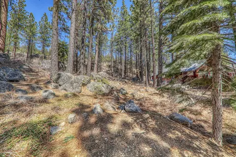 13014 Donner Pass Rd, Truckee, CA 96161 photo 11