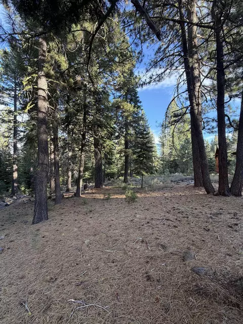 11853 Saddleback Dr, Truckee, CA 96161 photo 6