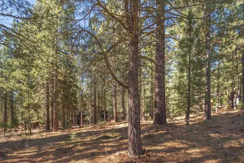 11925 Saddleback Dr, Truckee, CA 96161 photo 14