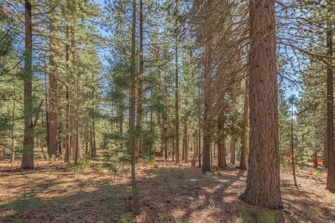 11925 Saddleback Dr, Truckee, CA 96161 photo 22