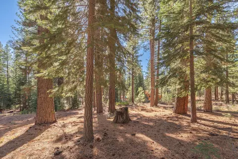 11925 Saddleback Dr, Truckee, CA 96161 photo 17