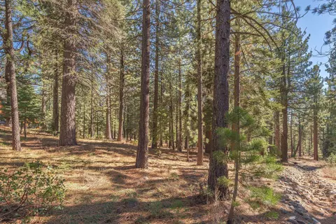 11925 Saddleback Dr, Truckee, CA 96161 photo 12