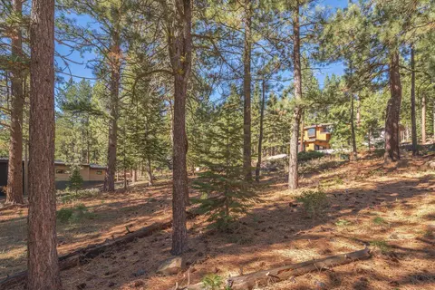 11925 Saddleback Dr, Truckee, CA 96161 photo 21