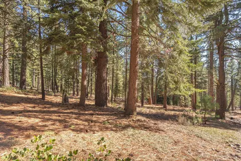 11925 Saddleback Dr, Truckee, CA 96161 photo 19