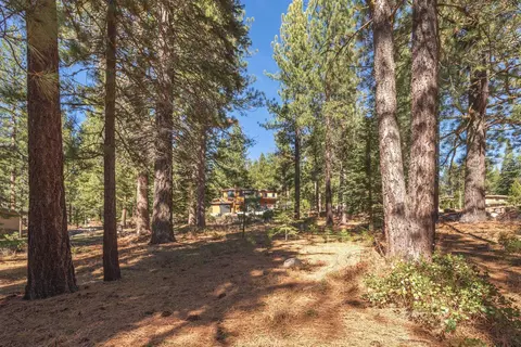 11925 Saddleback Dr, Truckee, CA 96161 photo 13