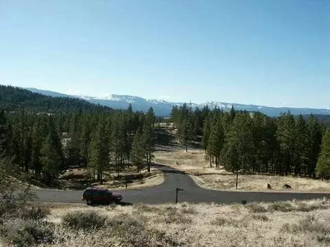 825 Dancing Bears, Clio, CA 96106 photo 1
