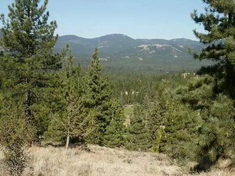 169 Clouds Rst, Clio, CA 96106 photo 1