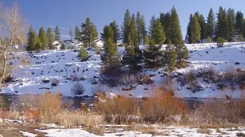 10719 E River St, Truckee, CA 96161 photo 2