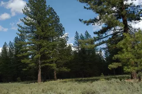 12593 Caleb Dr, Truckee, CA 96161 photo 1
