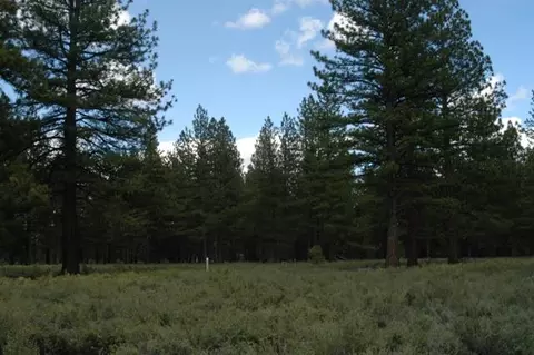 12593 Caleb Dr, Truckee, CA 96161 photo 3