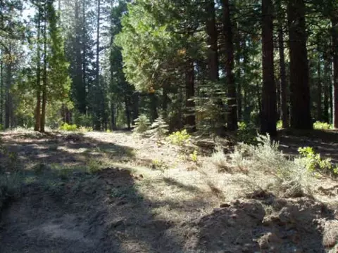 1315 C Rd, Clio, CA 96106 photo 4