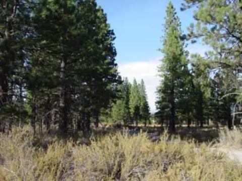 1009 Mountain Quail Rd, Calpine, CA 96124 photo 3