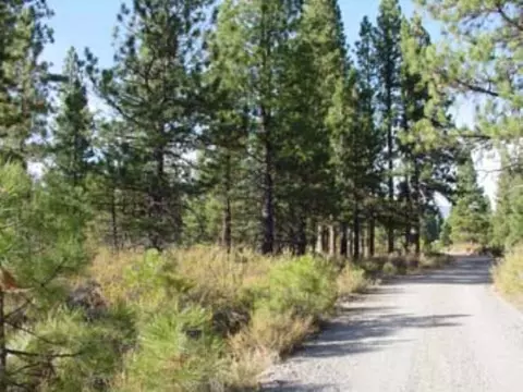 1009 Mountain Quail Rd, Calpine, CA 96124 photo 4