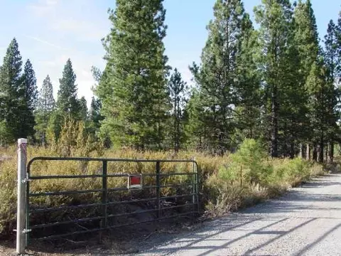 1009 Mountain Quail Rd, Calpine, CA 96124 photo 1